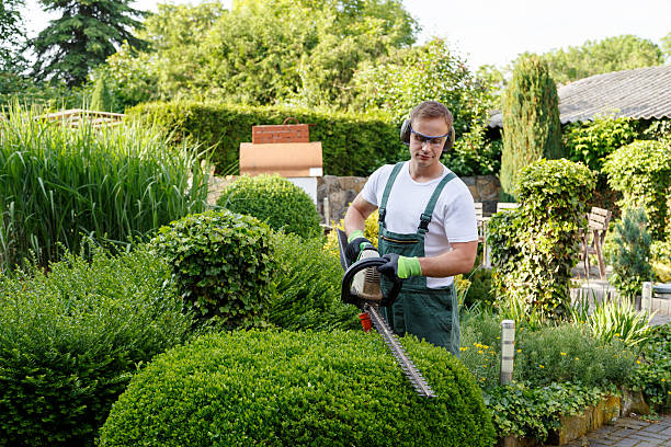 Lawn Irrigation Installation and Maintenance in Southern Shops, SC